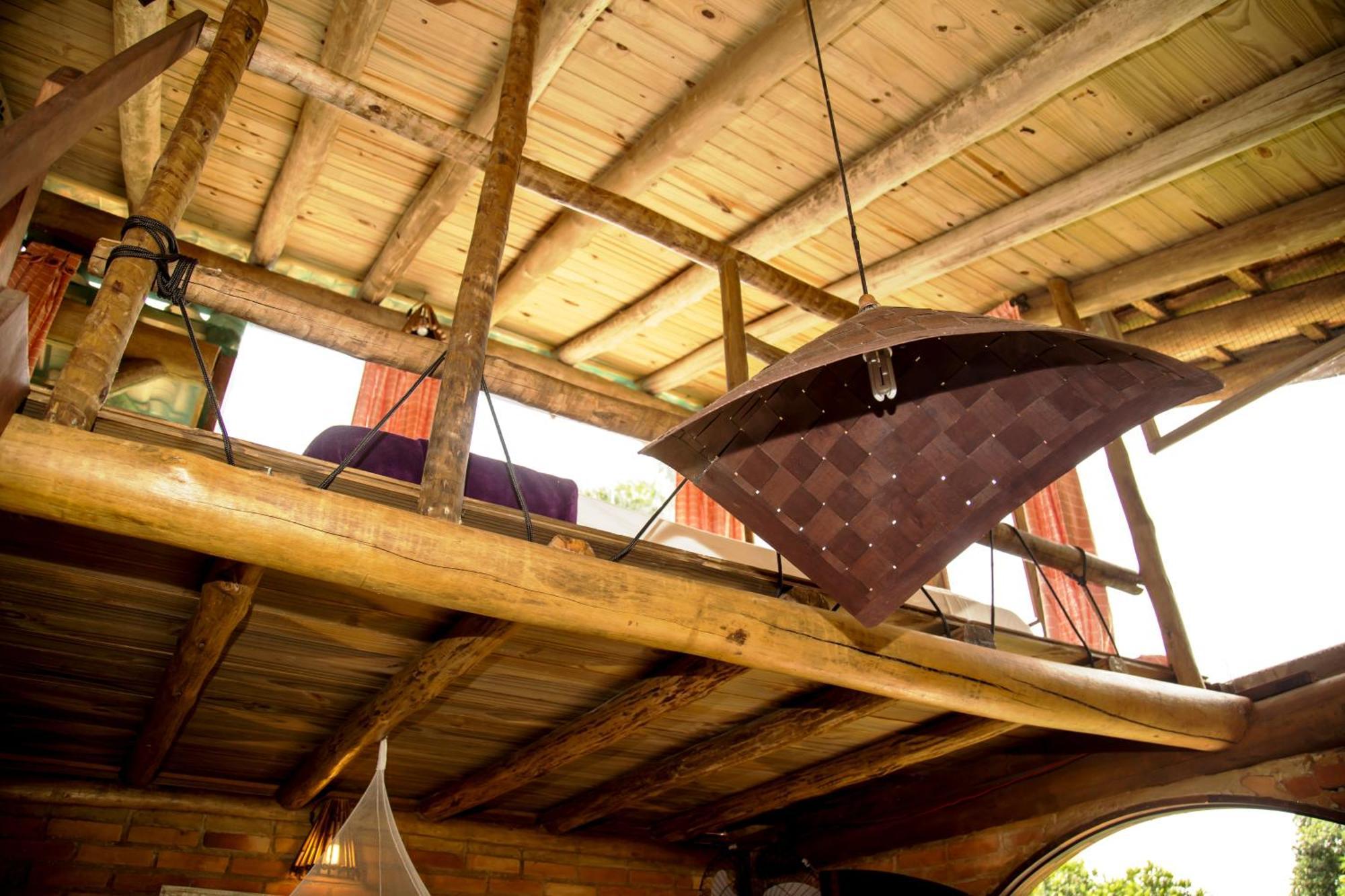 Paraty Paradiso Стая снимка