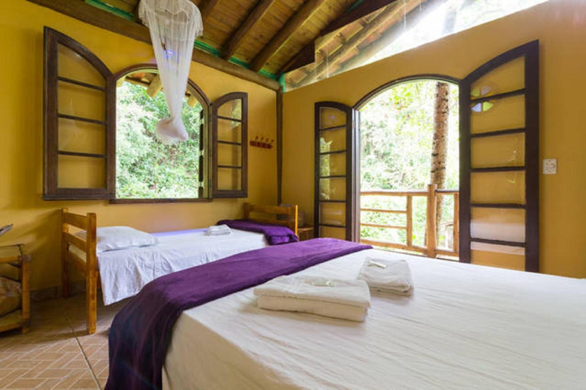 Paraty Paradiso Стая снимка